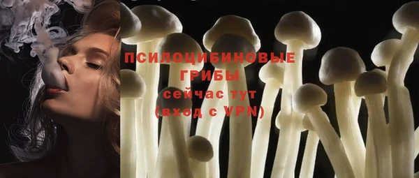 соль ск Балабаново